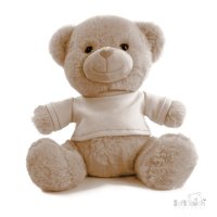 TB325-BR: 25cm Brown Teddy Bear w/T Shirt